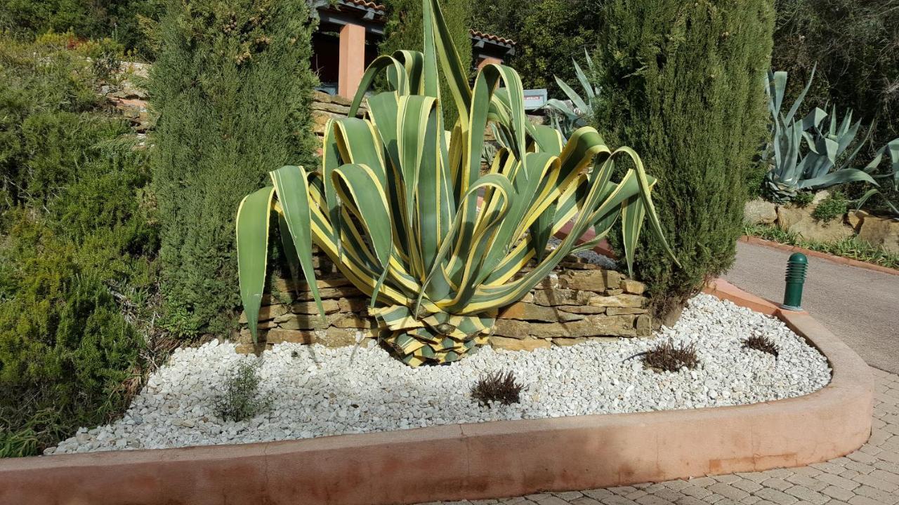 La Maison Du Castellet Le Castellet  ภายนอก รูปภาพ